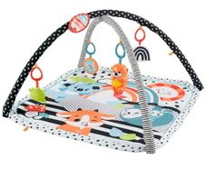 Baby Gym Mat
