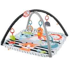 Baby Gym Mat
