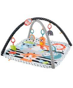 Baby Gym Mat