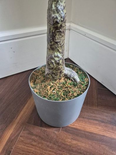 Faux Olive tre