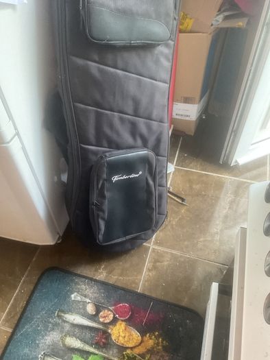 Timberline harp guitarwith its own robust case