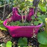 hanging pots Image 3
