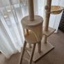 cat tree Image 4