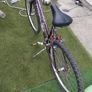 26 inch lady bike Image 4