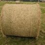Excellent Quality Hay Bales Image 2