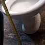 Toilet bowl only with toilet soft close seat Image 10