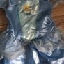 Cinderella costumes Image 9