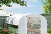 Large Tunnel Greenhouse19.5 x 9.8ft