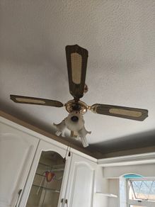 Ceiling Fan
