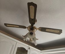Ceiling Fan