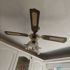 Ceiling Fan