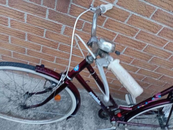 adults bike