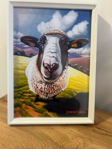 sheep print