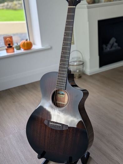 Breedlove Concert Pro guitar.Trade or Cash?