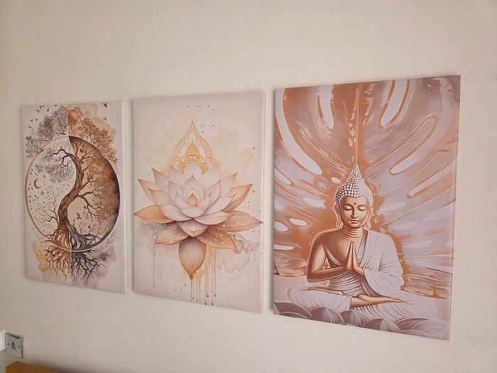 3 framed canvas 45x65cm