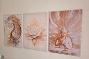 3 framed canvas 45x65cm