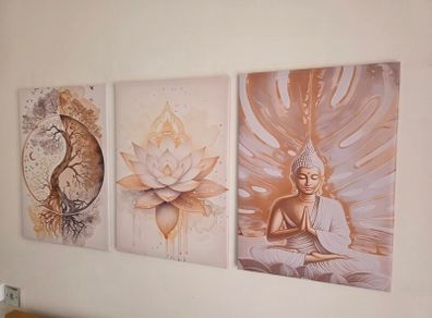 3 framed canvas 45x65cm