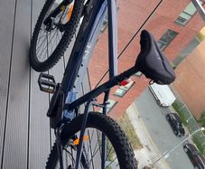 Mountain E-Bike