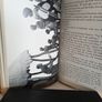 Livingstone the Liberator: A Study of a dynamic Personality by James I. Macnair (GT969) Image 5