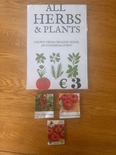 Tomato Plants