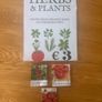 Tomato Plants Image 4