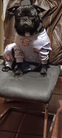 spark paws dog clothes