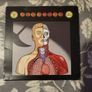 Pearl Jam The Fixer Promo CD Single 2009 Image 2