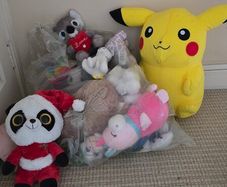 Bag of teddy bear