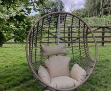Summer Sale! Egg Chair Swing - Free Delivery