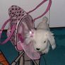 Toy dog  in a bag Image 5