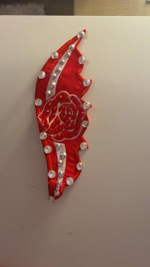 Taylor Irish Dancing Dress