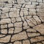 carpet Image 7