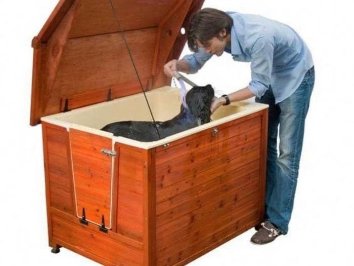 Dog Wash Kennel