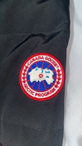 canada goose