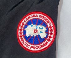canada goose
