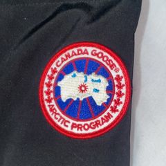 canada goose