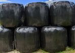 Silage bales