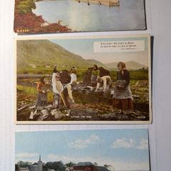 3 Old Irish Postcards.