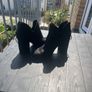 Shoes Image 5