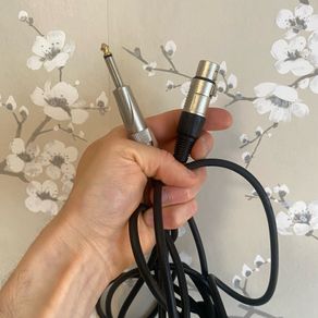 Female XLR to male 1/4 mono Jack (audio cable)