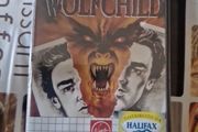 Wolfchild worf child Sega Master System Arcade Retro Games Original
