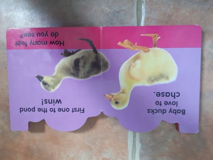 Ducklings Book