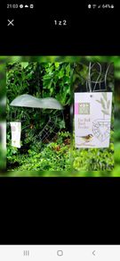 Bird feeder