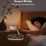Dreamegg White Noise Machine - D1 Nova Sound Machine for Baby Adult, 25 Soothing Sounds, 9 Night Lights, Dimmable Display, Ideal Sleep Aid for Heavy Sleepers Bedroom Image 7