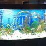 Juwel Vision 260 Aquarium Full Setup Image 2