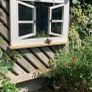 Garden Image 2