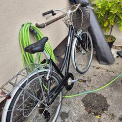ladies bike