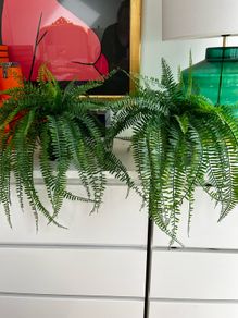 faux plant