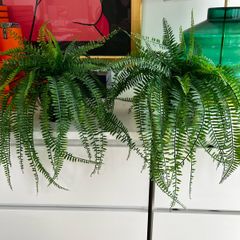 faux plant
