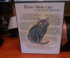 Cat sign